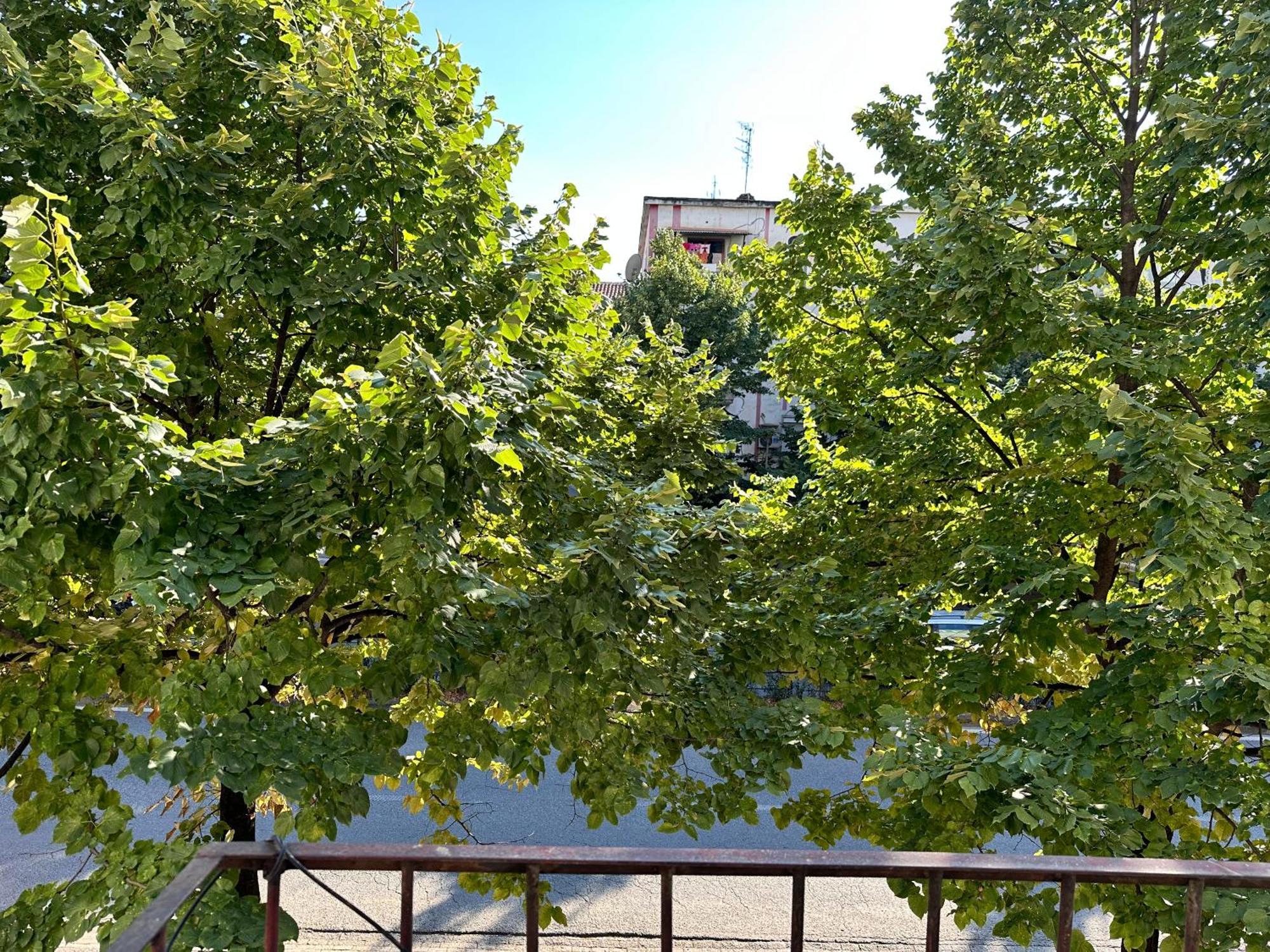 Sophia Daily Apartman Tirana